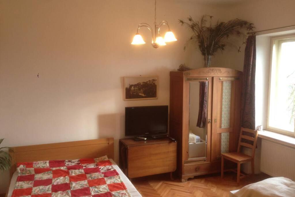 Pod Parkany Studio With View Табор Экстерьер фото